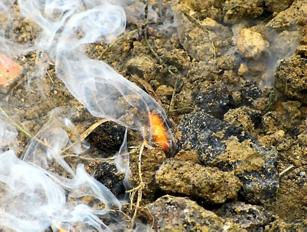 La situación obligará a las autoridades a evacuar a unas 20 familias. JULIO CASTAÑO - EL UNIVERSAL -