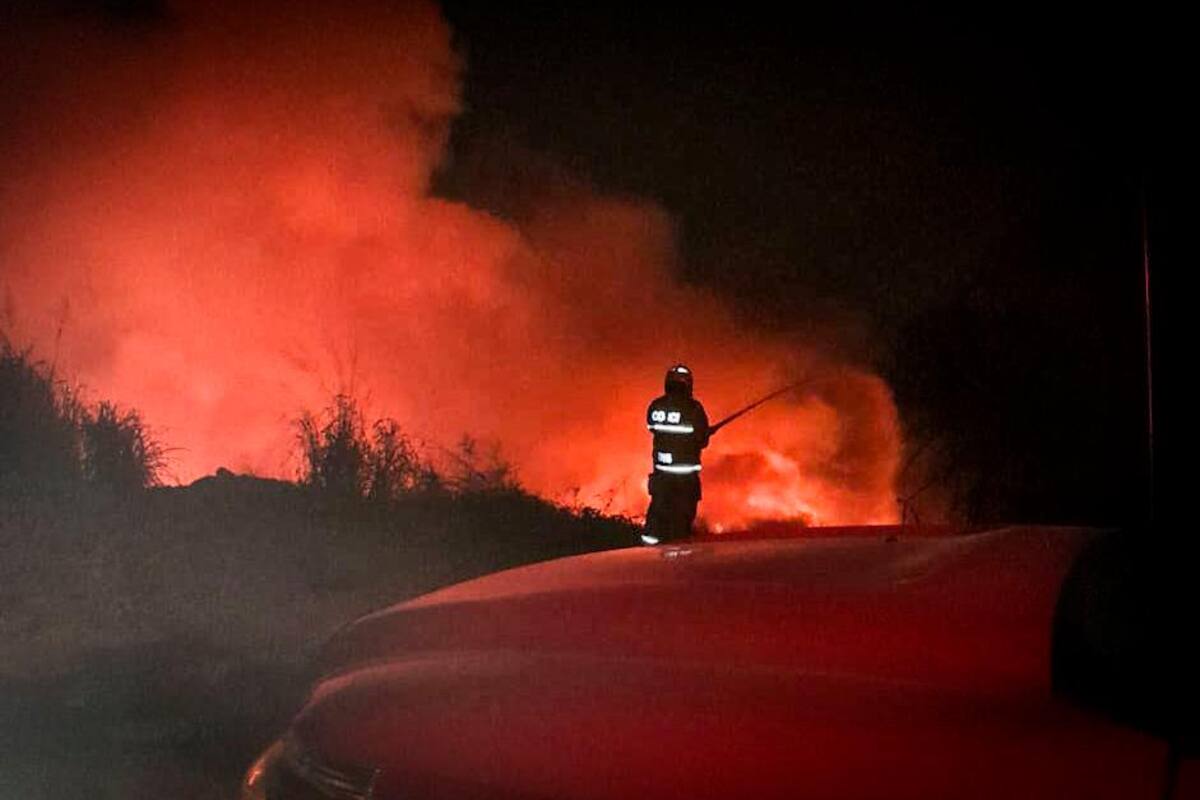 Bomberos atienden incendio forestal cerca de Pasacaballos