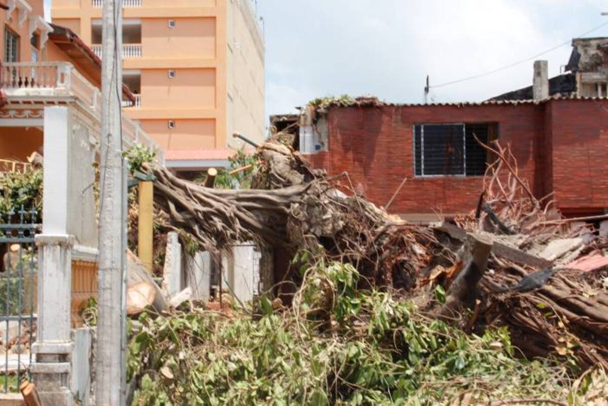 Árbol caído tiene paralizada la vía de la Calle Real del Pie de la Popa. GABRIEL JAIME GARCÍA GARCÍA -EL UNIVERSAL