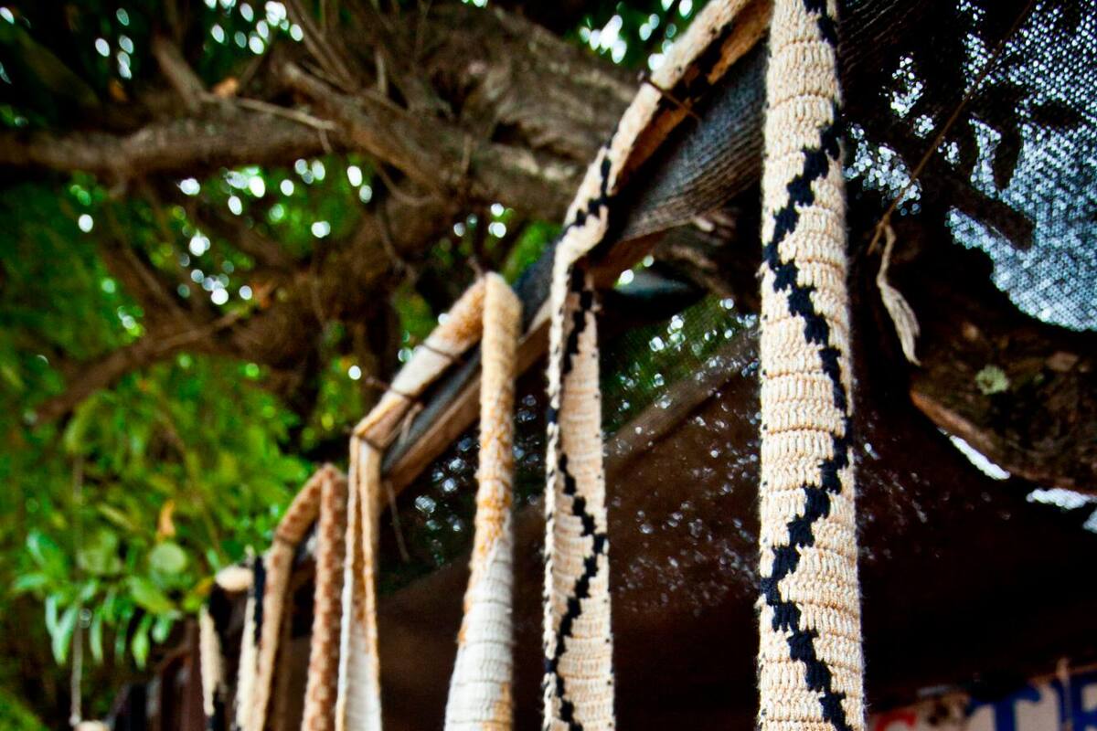Femon, la feria que busca afianzar la cultura de los Montes de María