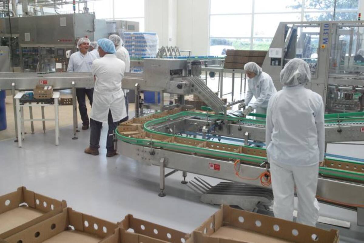 Starbucks Corp. y Danone dijeron que la distribución será ampliada eventualmente a ciertos mercados fuera de Estados Unidos