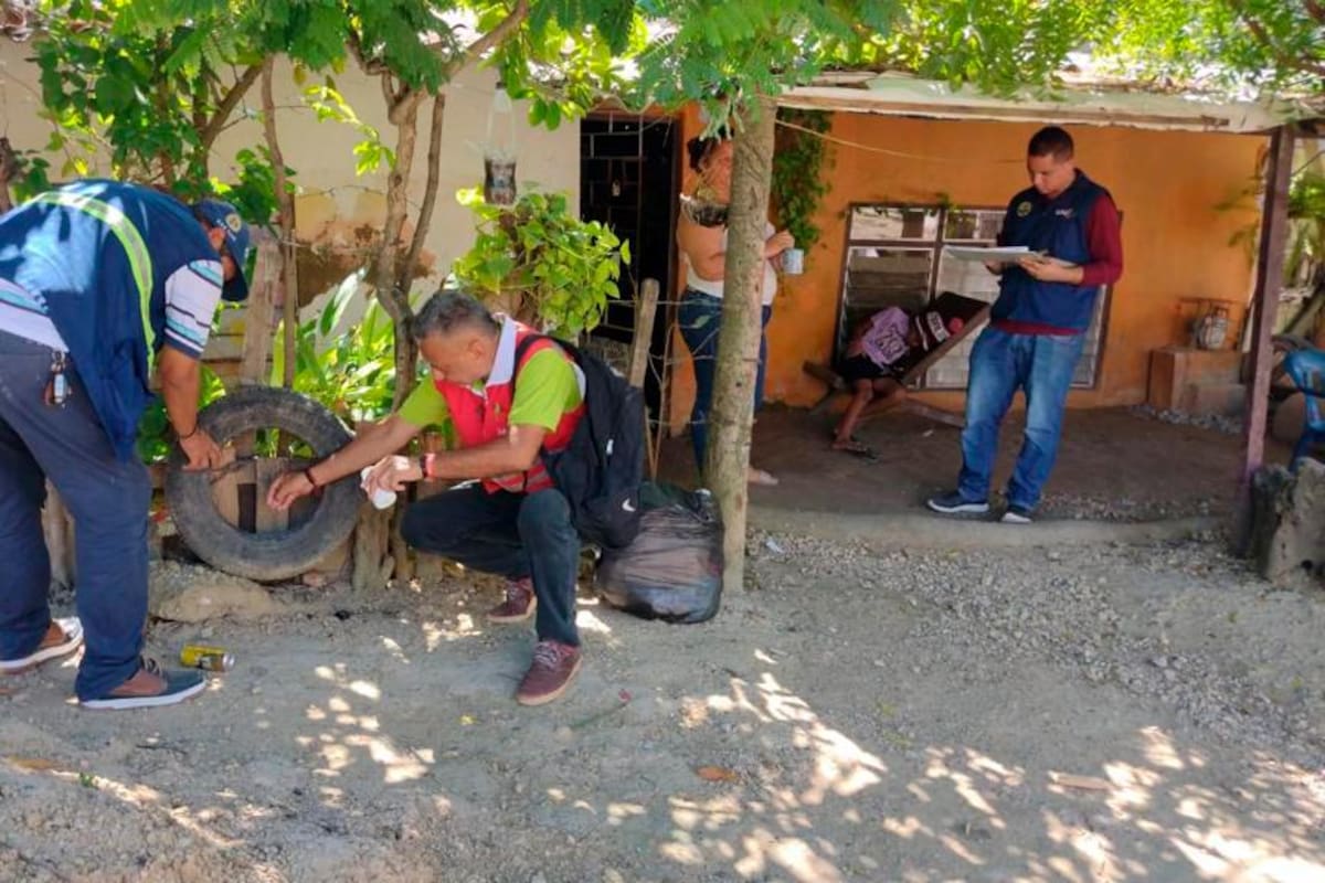 Dengue en Cartagena: las cifras están por debajo de la media nacional