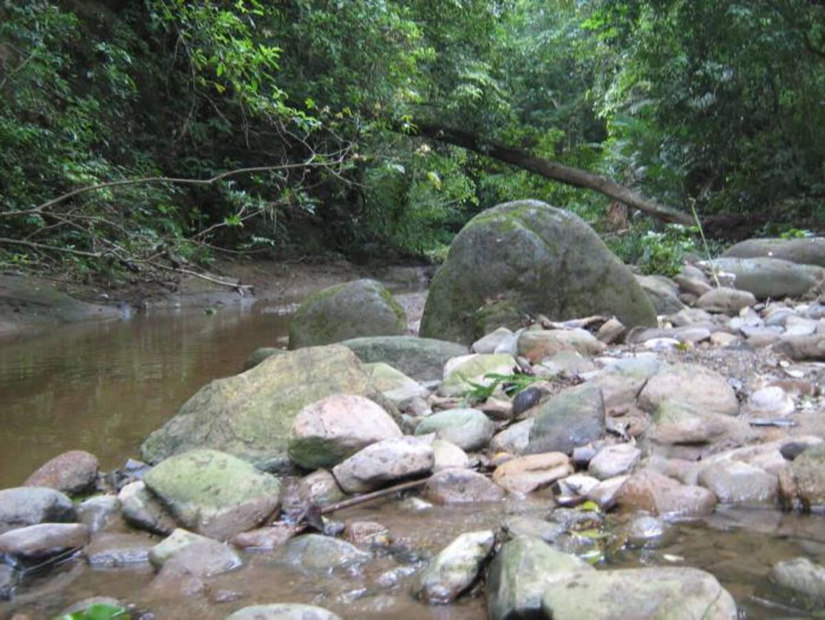 Rocas y aguas cristalinas del Santuario Los Colorados. ARCHIVO