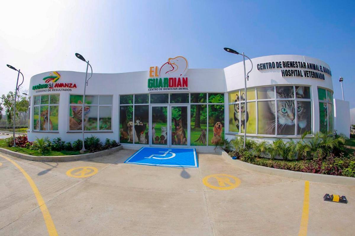 A los perros y gatos callejeros les llega su ‘Guardián’