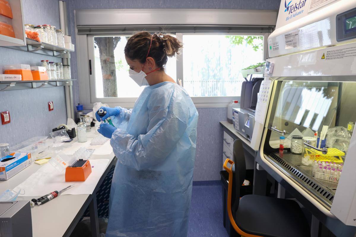 Un estudio detecta nuevos síntomas en la viruela del mono