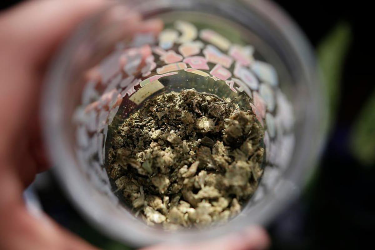 Proyecto de regulación del cannabis fue aprobado en su segundo debate