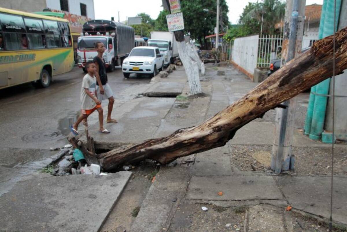 En la vía principal de Fredonia, a la altura de la calle 8, está este palo metido sobre un registro de alcantarilla. Por suerte existe, ya que cuando llueve no se ve y cualquiera se cae. ARCHIVO EL UNIVERSAL