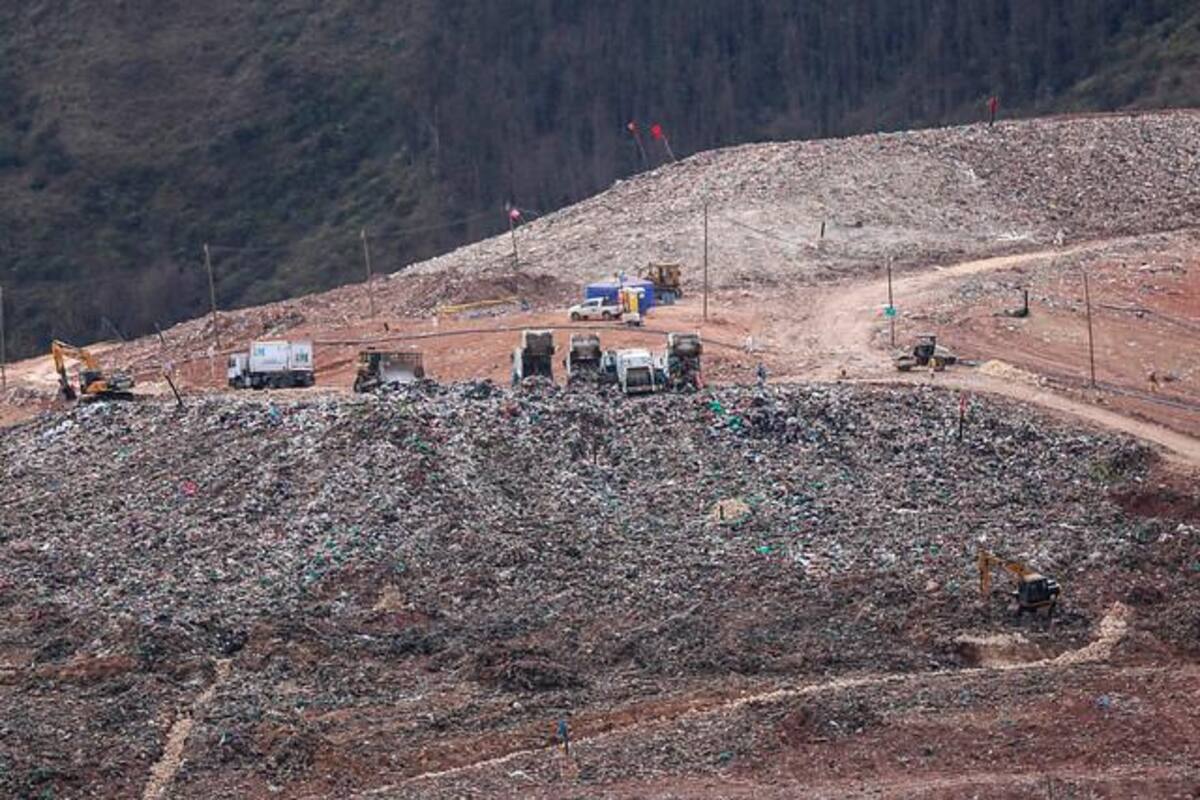 La contaminación plástica se hace patente en tejidos del cuerpo humano