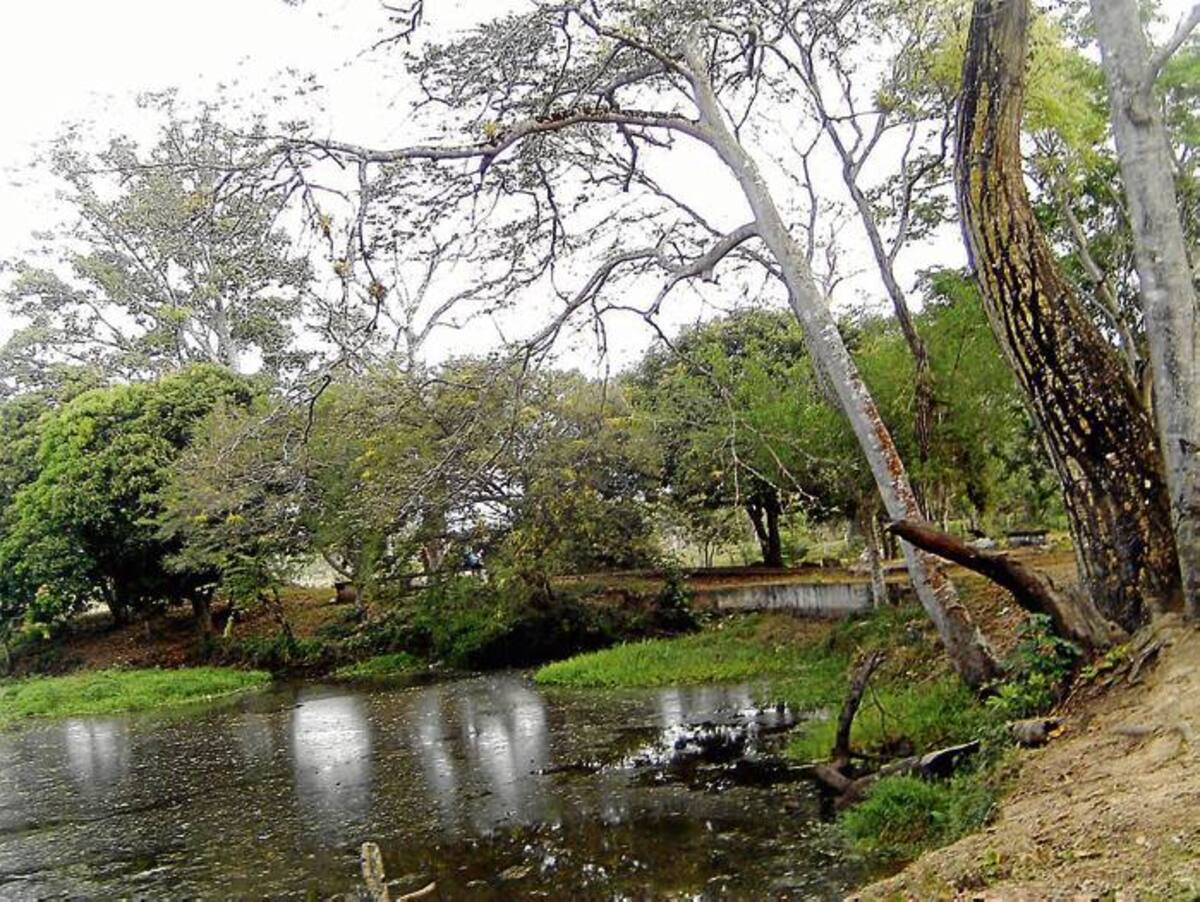 El parque Recreacional Pelinkú, sitio emblemático de Galeras comenzó a ser recuperado.