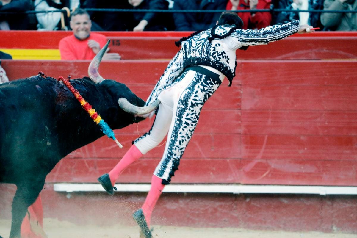 Video: así fue la cornada que sufrió Enrique Ponce en España