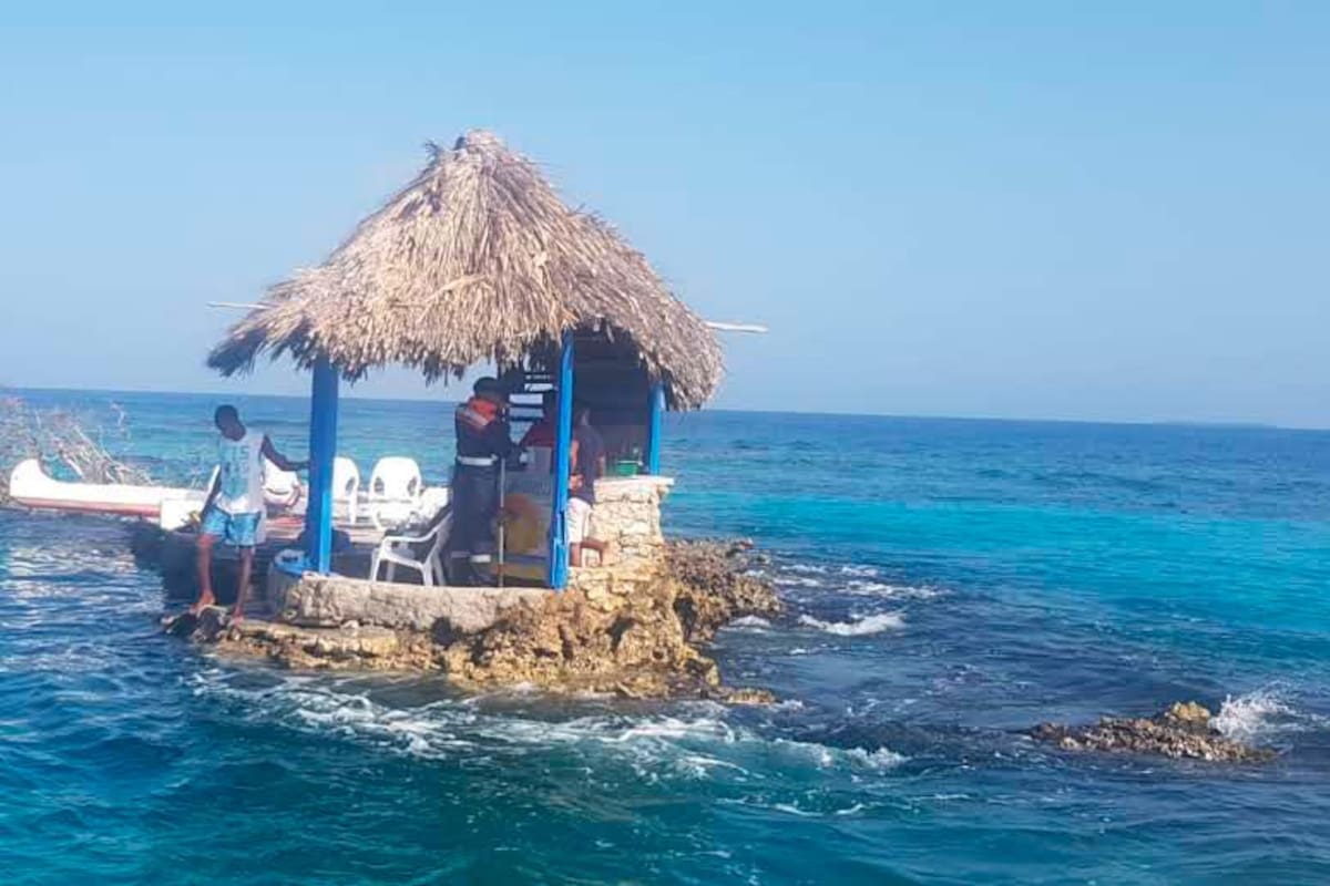 ¿Por qué invadieron un coral en ciénaga de las Islas del Rosario?