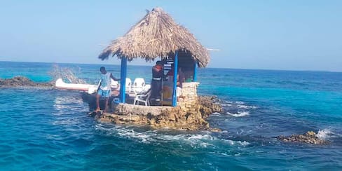 ¿Por qué invadieron un coral en ciénaga de las Islas del Rosario?