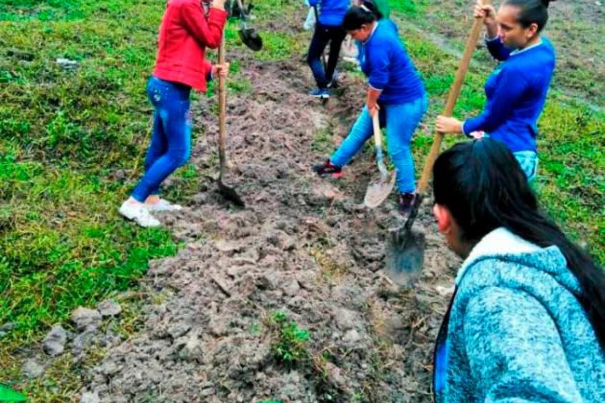 Jóvenes Rurales abre convocatoria para financiar actividades productivas