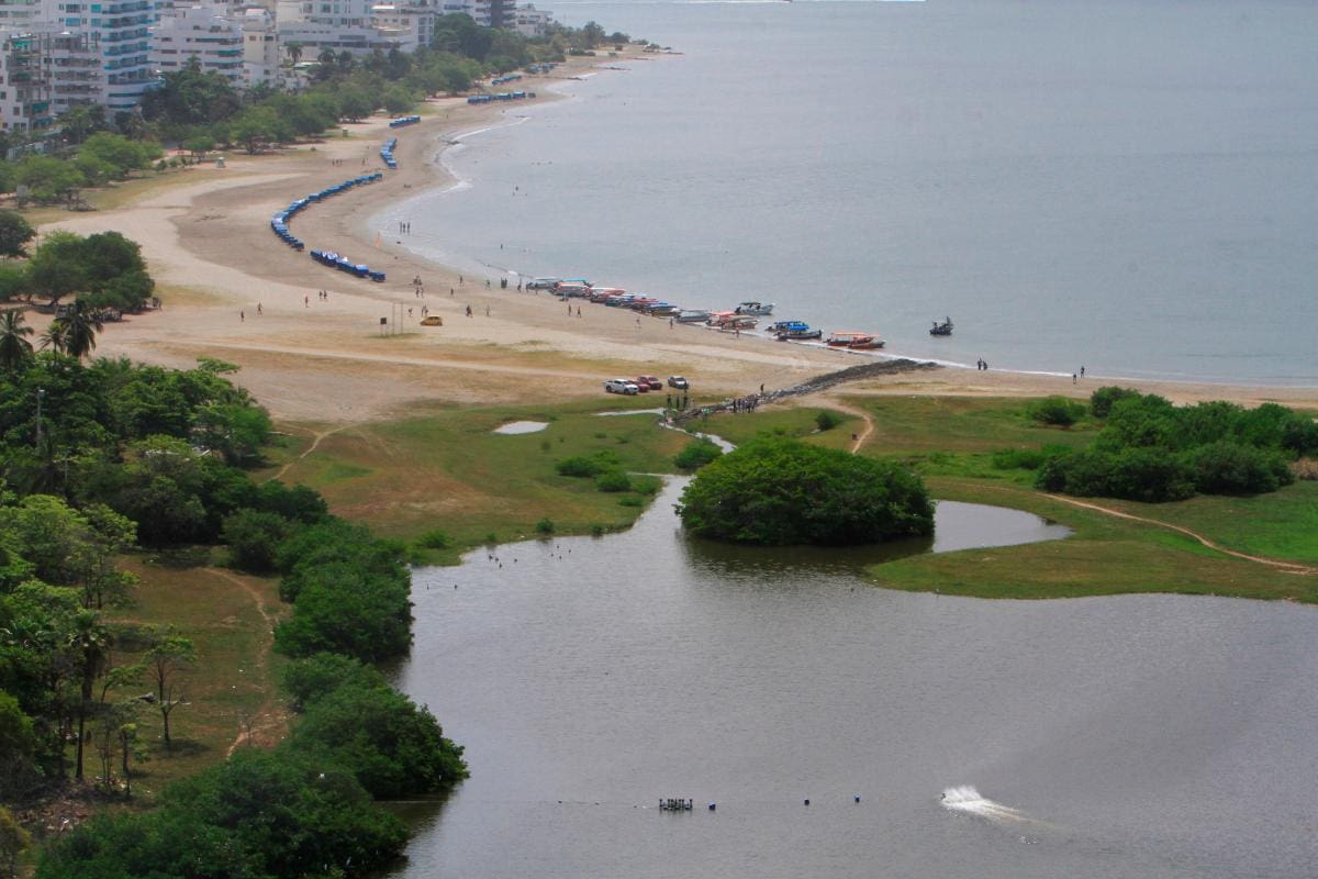 El calor pudo influir en muerte de peces en El Laguito