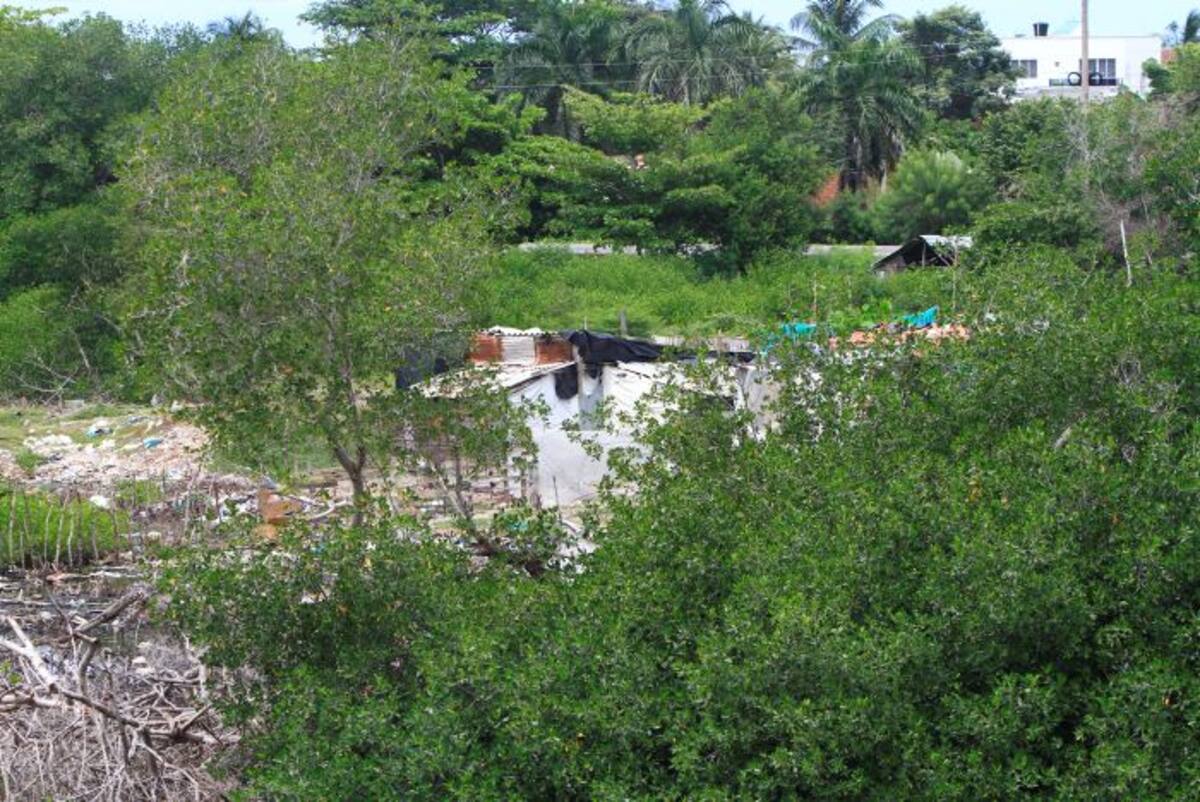 La Procuraduría dio un plazo a las autoridades para recuperar la ciénaga de La Virgen. El Universal.