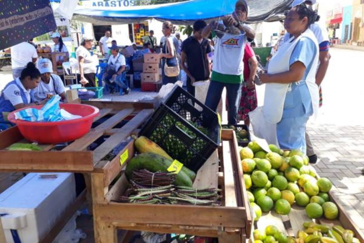 Segundo mercado campesino beneficia a 60 familias rurales