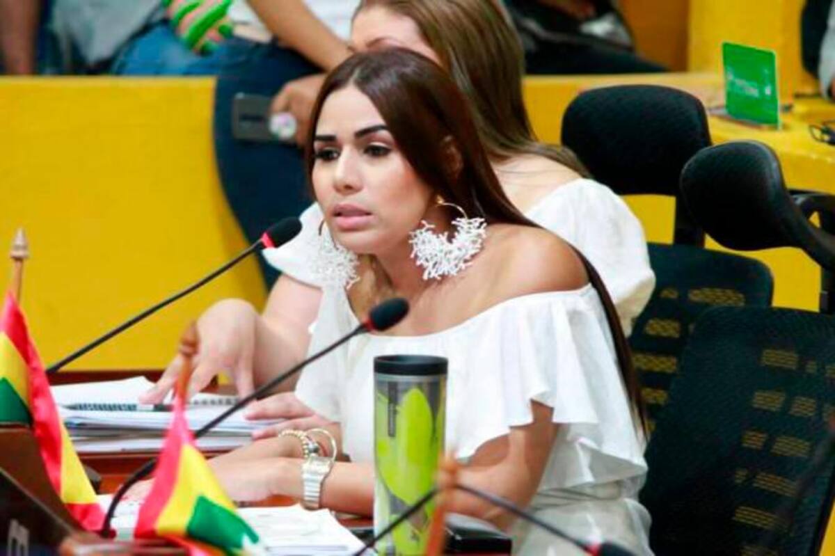 Angélica Hodeg, concejala.