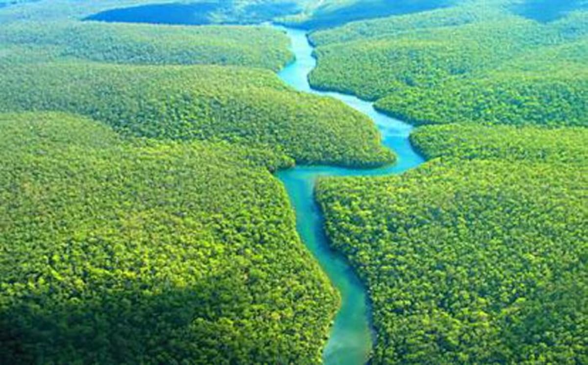Uno de los temas discutidos dentro de la reunión con la delegación noruega fue la búsqueda de recursos para la implementación de programas que ayuden a la conservación de la Amazonía y Orinoquía colombianas. web