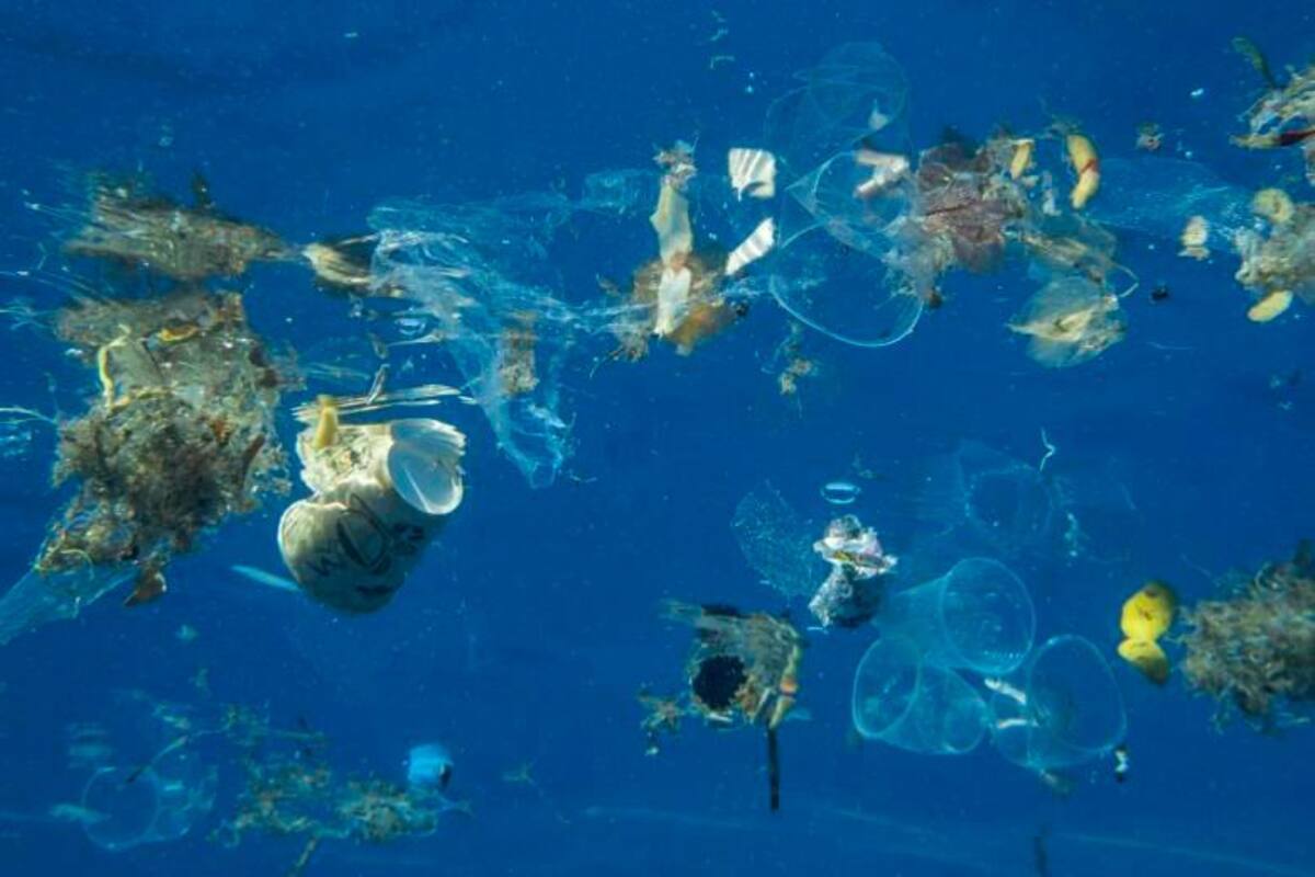 Los microplásticos transportan patógenos y gérmenes al mar, según estudio