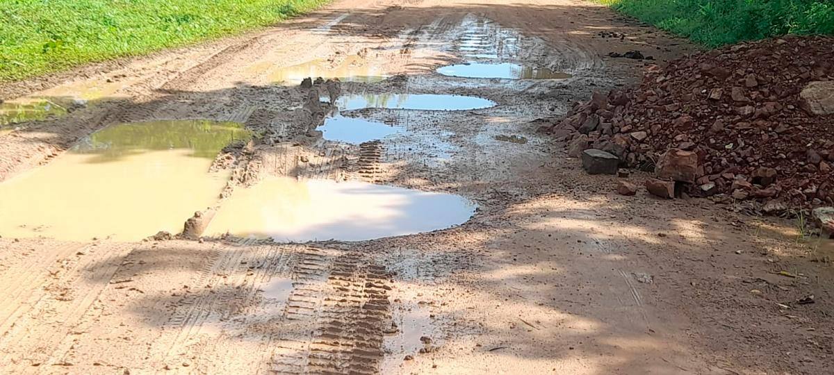 Así se encuentra la vía de acceso a El Níspero.