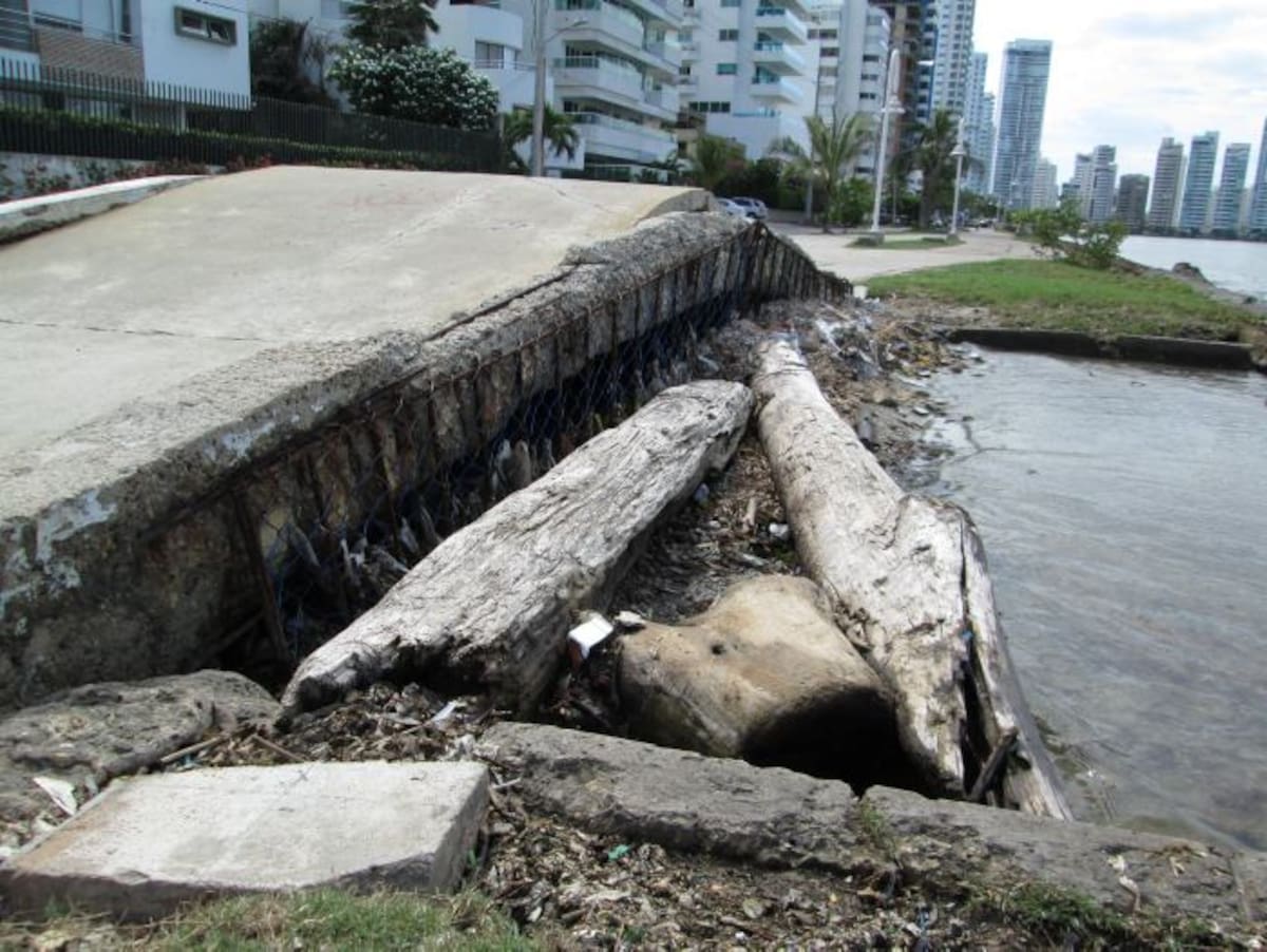 PEDRO TORRES, GENTE BAHÍA - EL UNIVERSAL