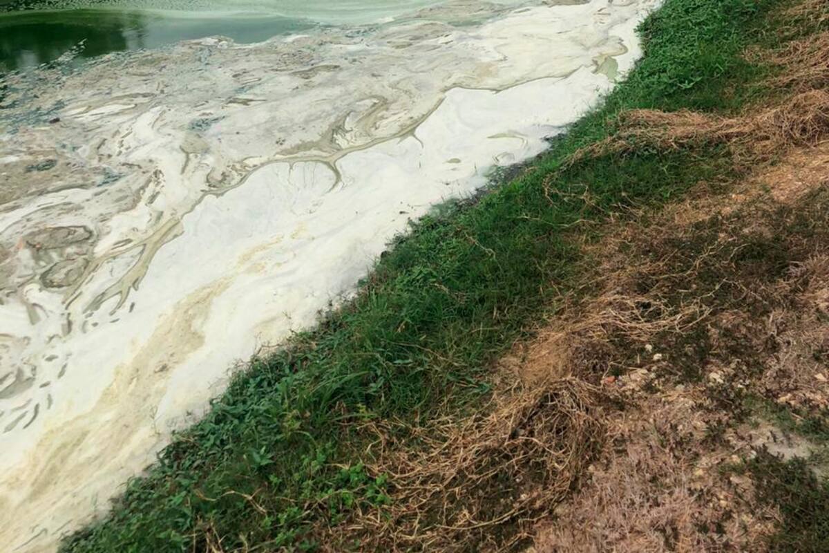 Con derecho de petición le piden a Cardique que vigile cuerpos de agua