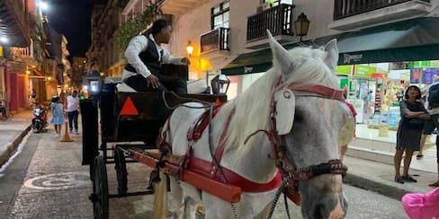 Procuraduría respalda demanda de Dumek Turbay contra los Vehículos de Tracción Animal