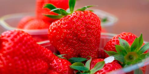 ¿Con gripa? Los expertos le recomiendan comer muchas fresas