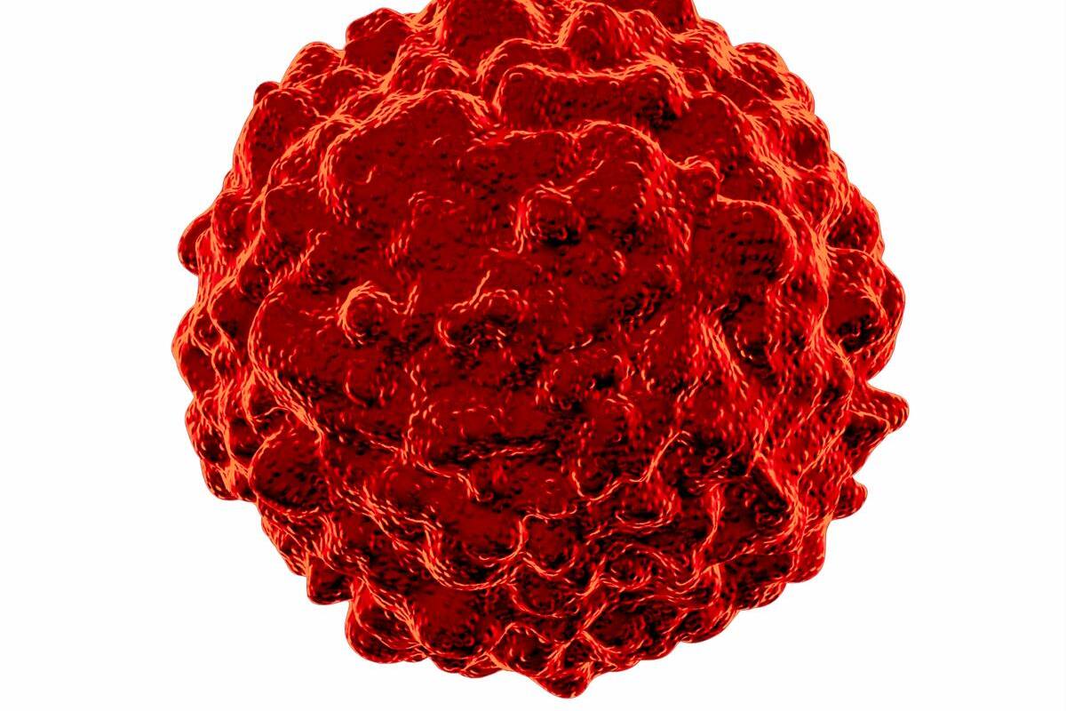 La leucemia requiere tratarse rápido