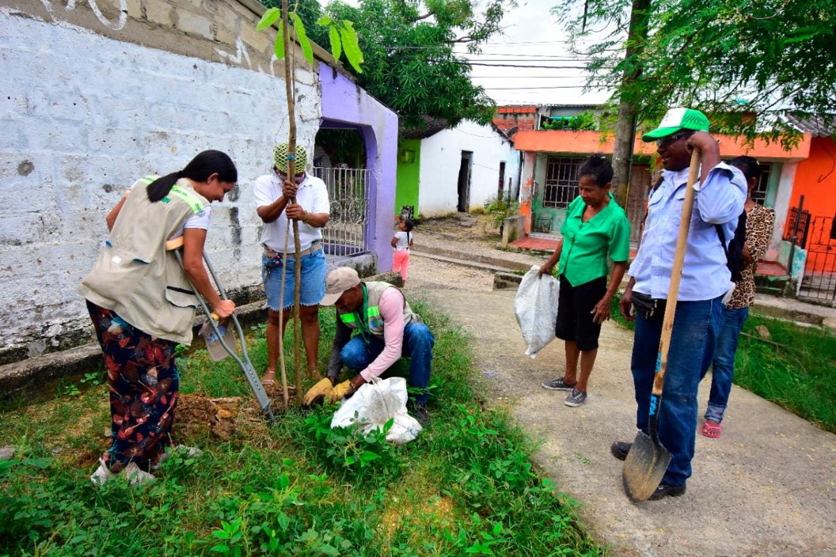 Cerca de 34 mil árboles se sembraron durante 2022 en las tres localidades de la ciudad, según reportó el EPA. //Cortesía