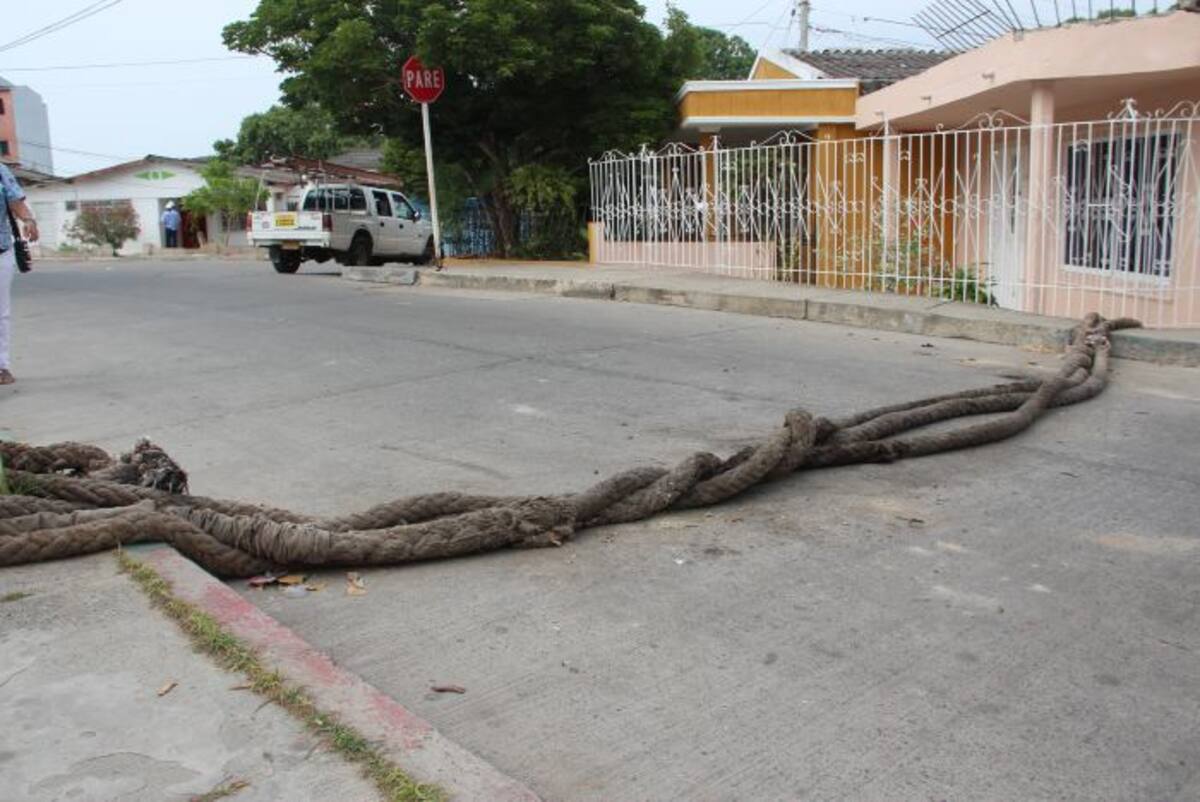 Esperan que si es necesario remover los resaltos se garantice la seguridad. ANTONIO CANCHILA GARCÍA - ELUNIVERSAL.COM.CO