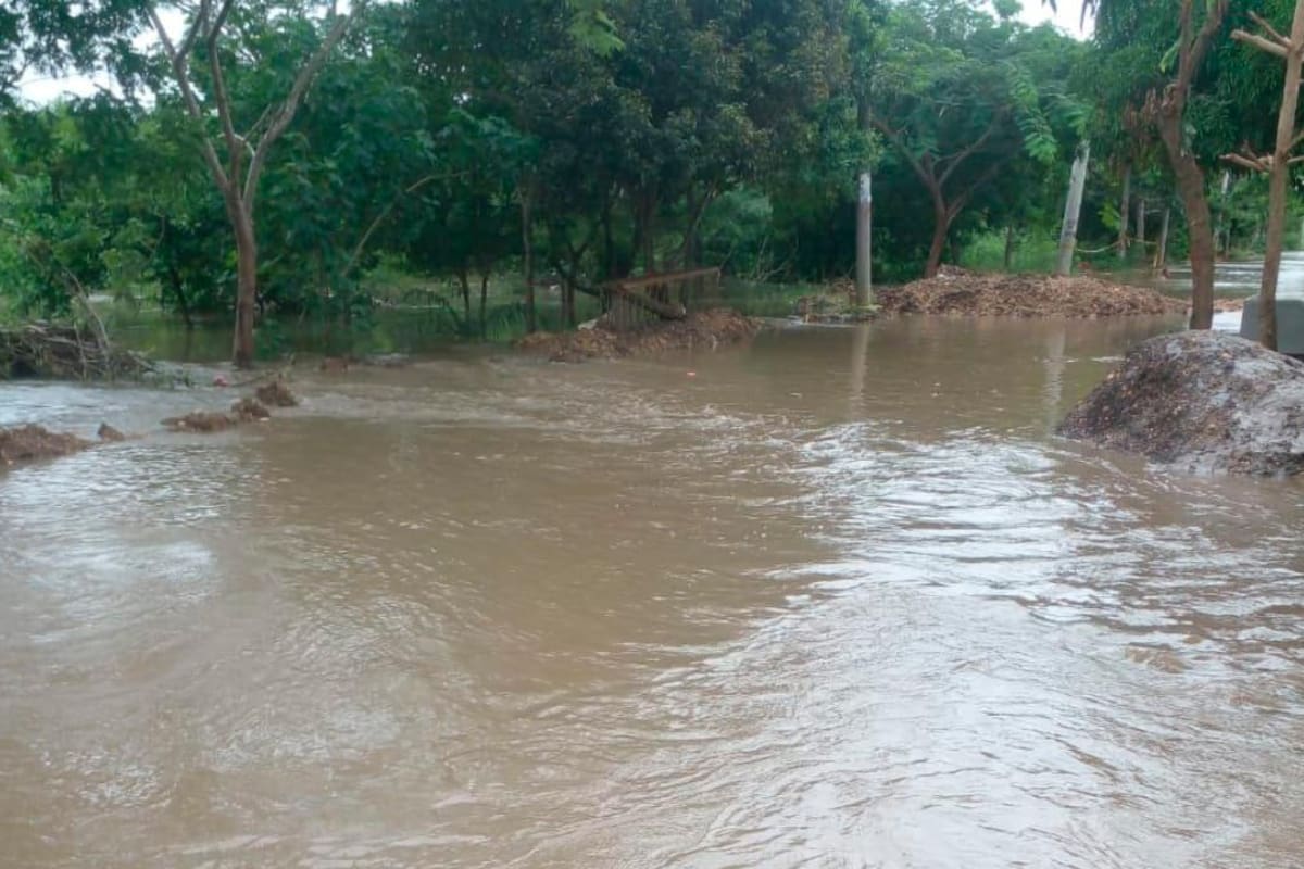 Emergencia: reportan tres desaparecidos en caño del barrio El Pozón