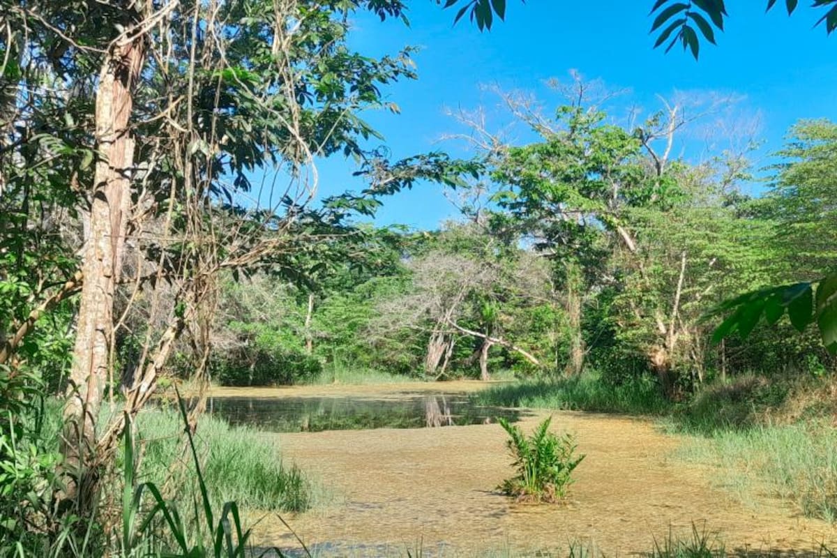 Documentalistas canadienses exploran la riqueza agrícola y cultural de Bolívar