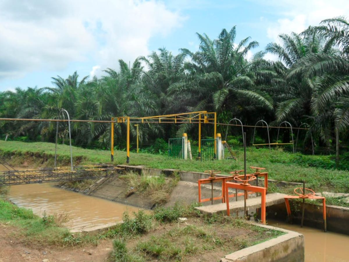 La actividad agroindustrial que surge alrededor del cultivo de palma de aceite es la dinamizadora de la economía de toda la zona del Distrito de Riego de Marialabaja.// fotos hfa - el universal