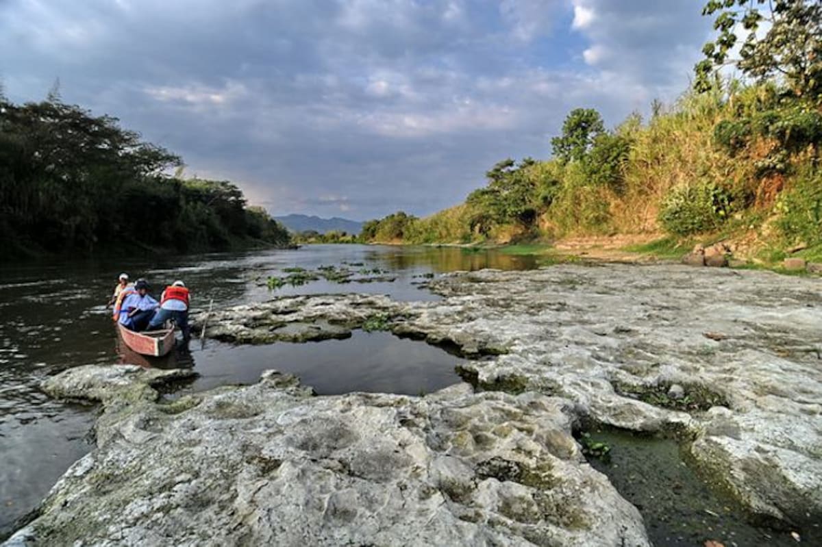 Vereda Cauca en el municipio de Cartago. En cartago uno de los puntos con mayor evidencia de descenso de los niveles del río Cauca en el norte del departamentoValle. Foto el País/Oswaldo Páez.