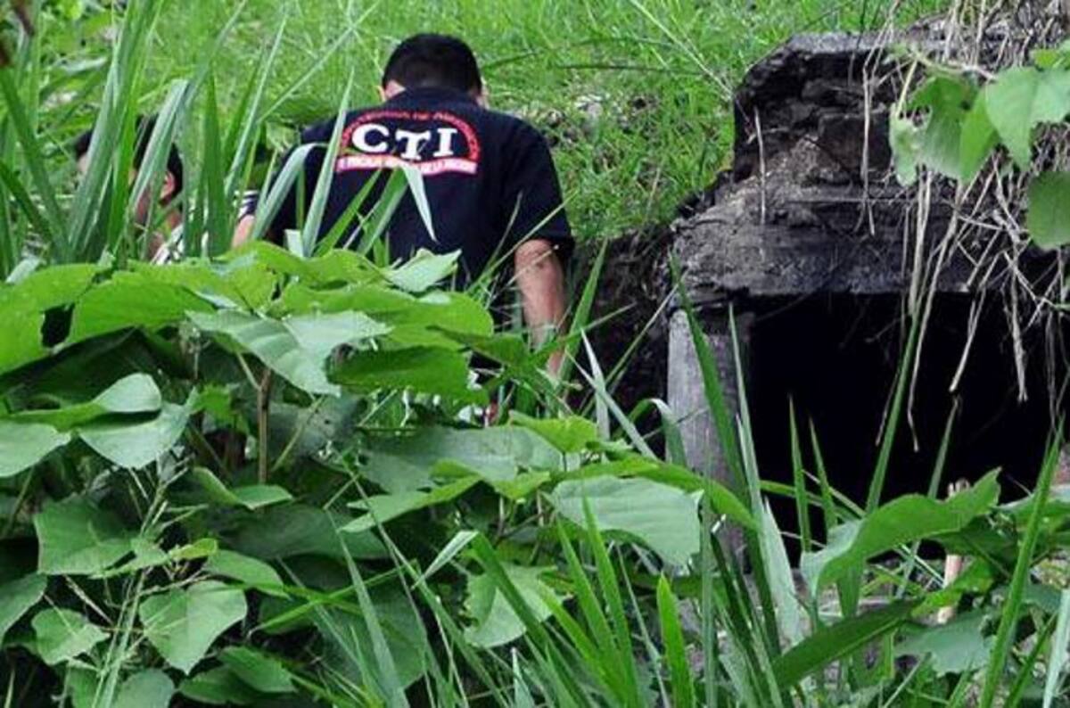Los cuerpos de las víctimas, todas afrodescendientes, fueron encontrados en avanzado estado de descomposición y sin documentos. COLPRENSA