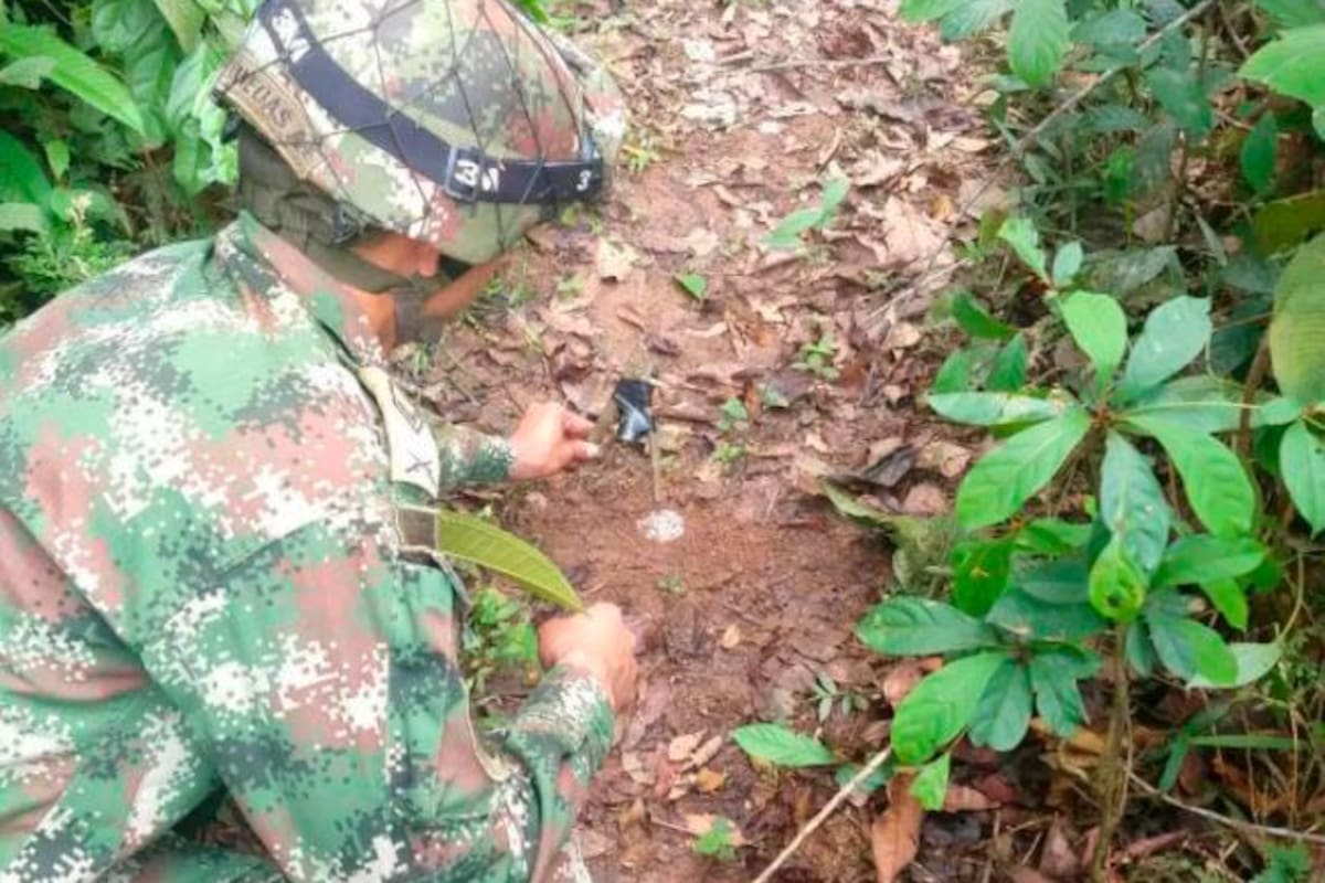 Minas antipersona dejan 104 víctimas en Colombia en primer trimestre de 2021