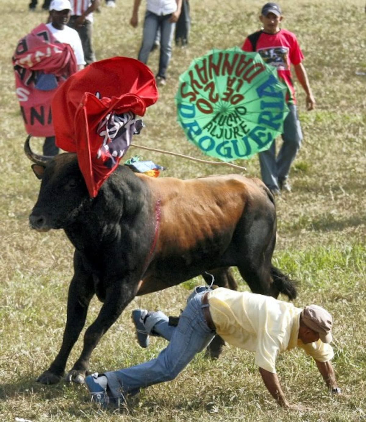 Ocho personas golpeadas y con heridas leves se registraron durante la faena.