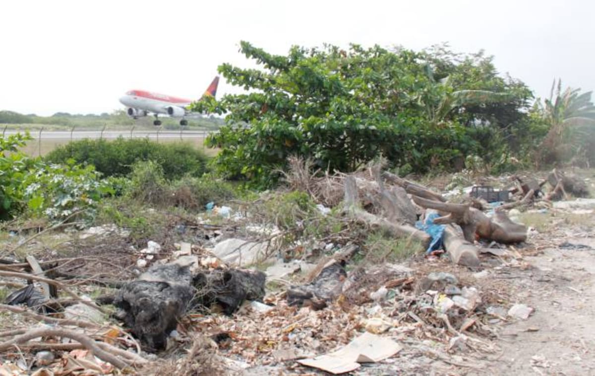 El desaste ambiental es evidente a un costado de la pista del aeropuerto Rafael Nuñez donde el caño Juan Angola recibe aguas negras y la basura inunda los lotes baldíos. Kailine Giraldo