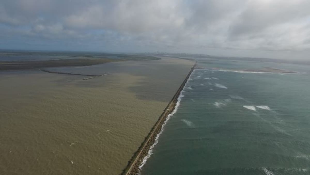 Bocas de Ceniza, desembocadura del río Magdalena en Barranquilla. Jairo Cárdenas