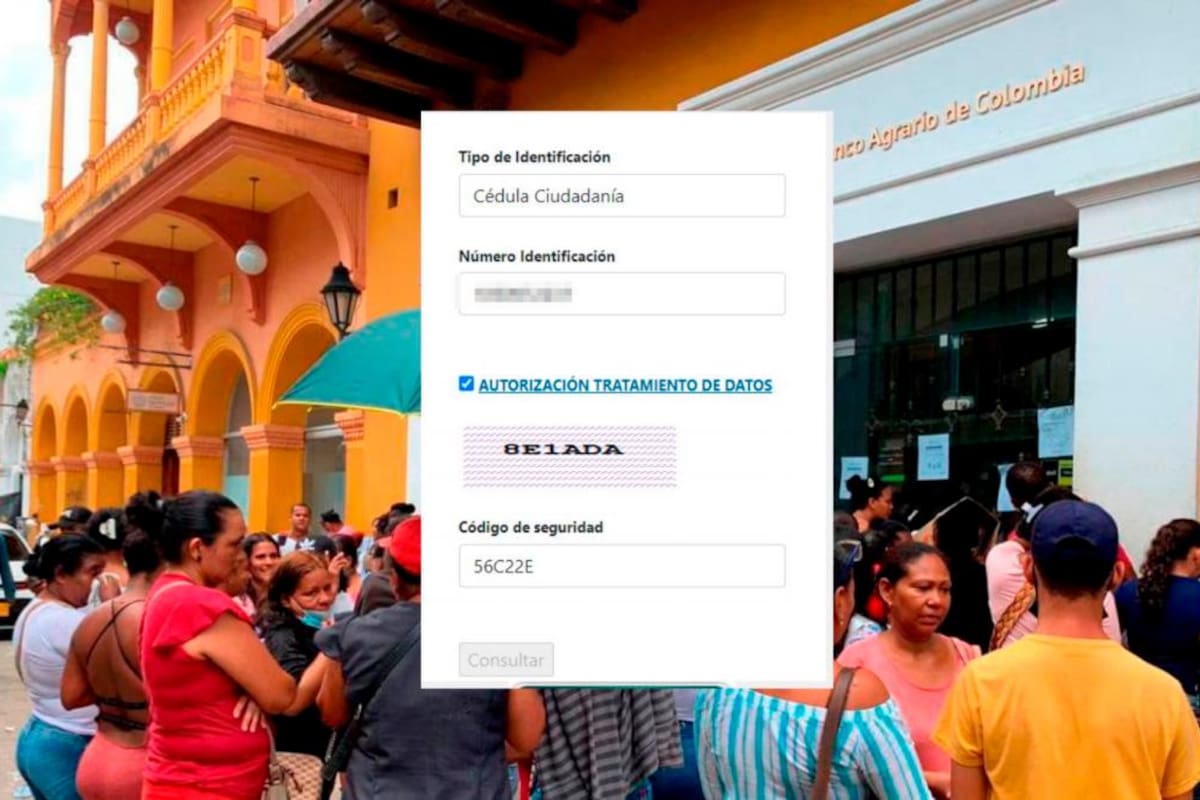 Con este link consultas en el Banco Agrario si tienes saldo de Renta Ciudadana