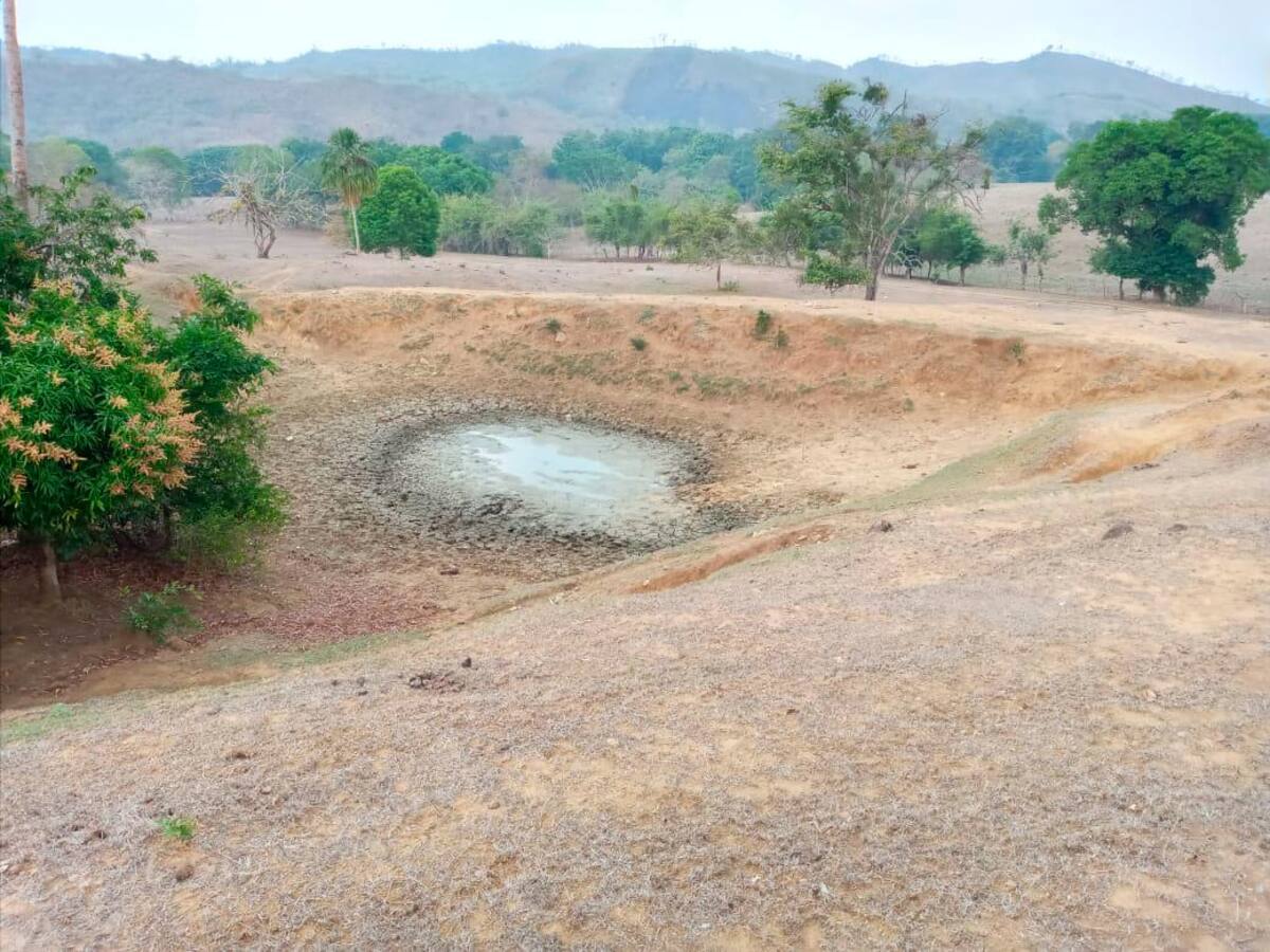 La falta de agua potable dificulta aún más al situación de los pequeños productores.