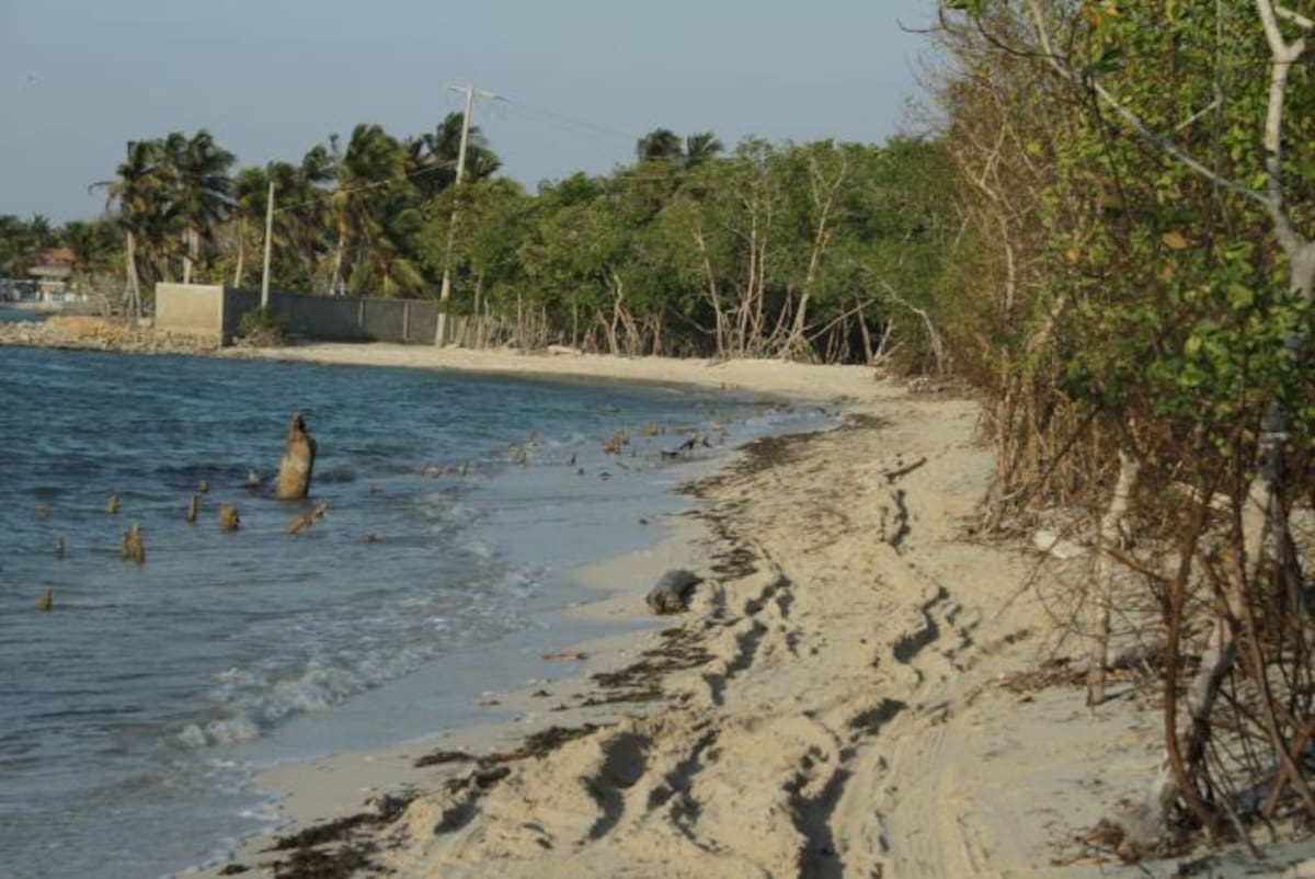 En 1,4 kilómetros del sector de Playetas (Barú) se ejecutarán trabajos de rehabilitación que incluyen un relleno en piedra o pedraplén. luis aparicio