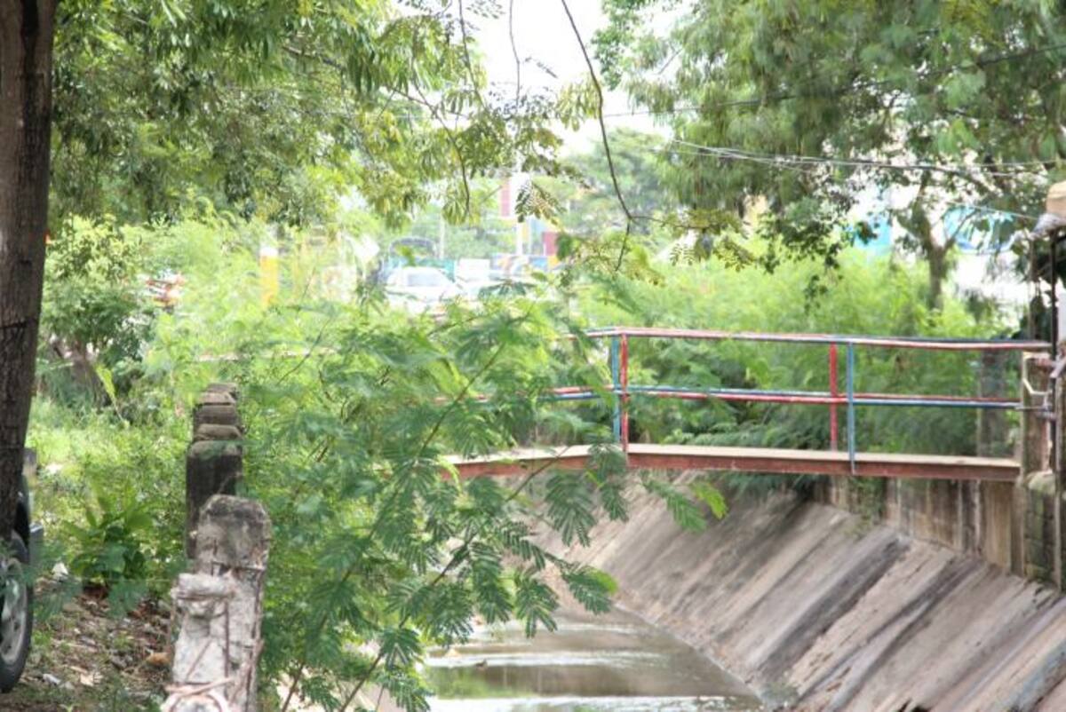 En este tramo del canal Nuevo Bosque, el monte obstaculiza el paso por el puente peatonal. ERICA OTERO-EL UNIVERSAL