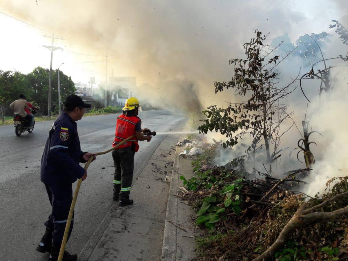 En la temporada de sequía se presentan incendios forestales//Archivo. El Universal.