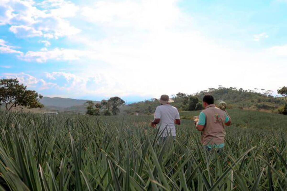 La Unidad de Restitución de Tierras se convierte en gestor catastral