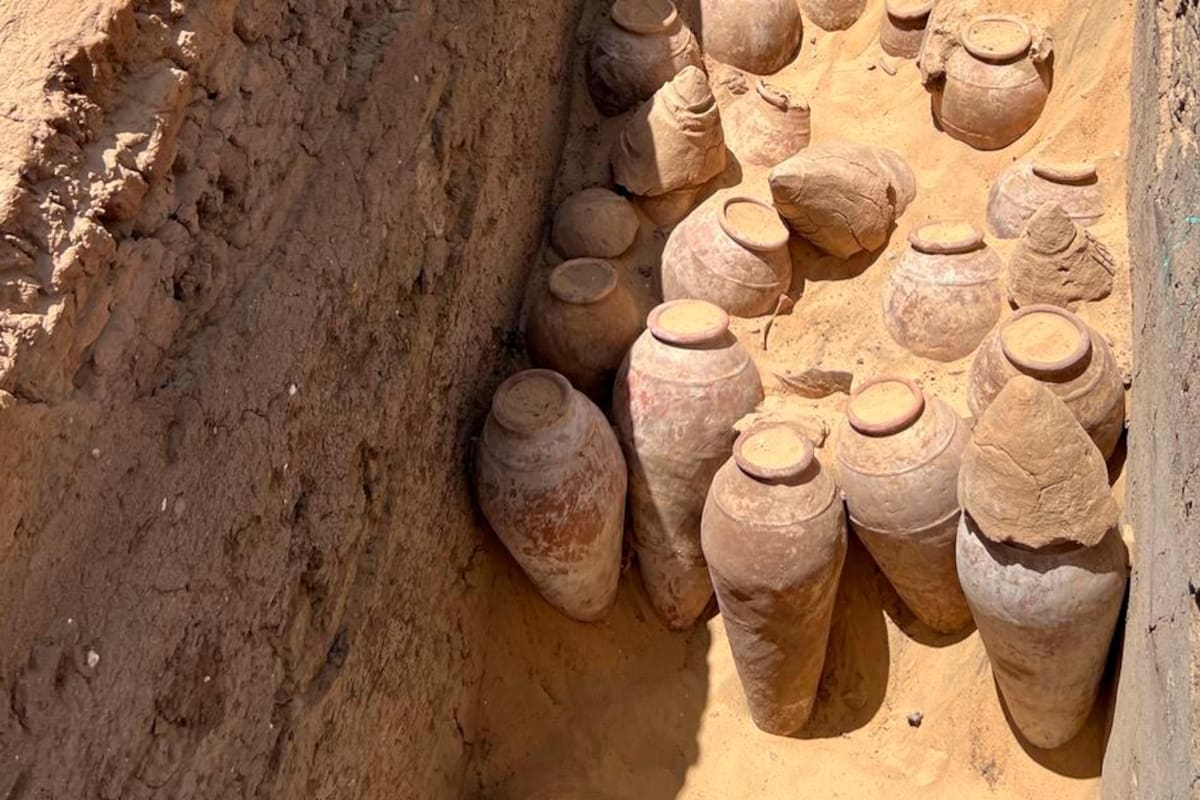 ¿Cuánto costaría? Hallan vino de 5.000 años de la primera faraona egipcia