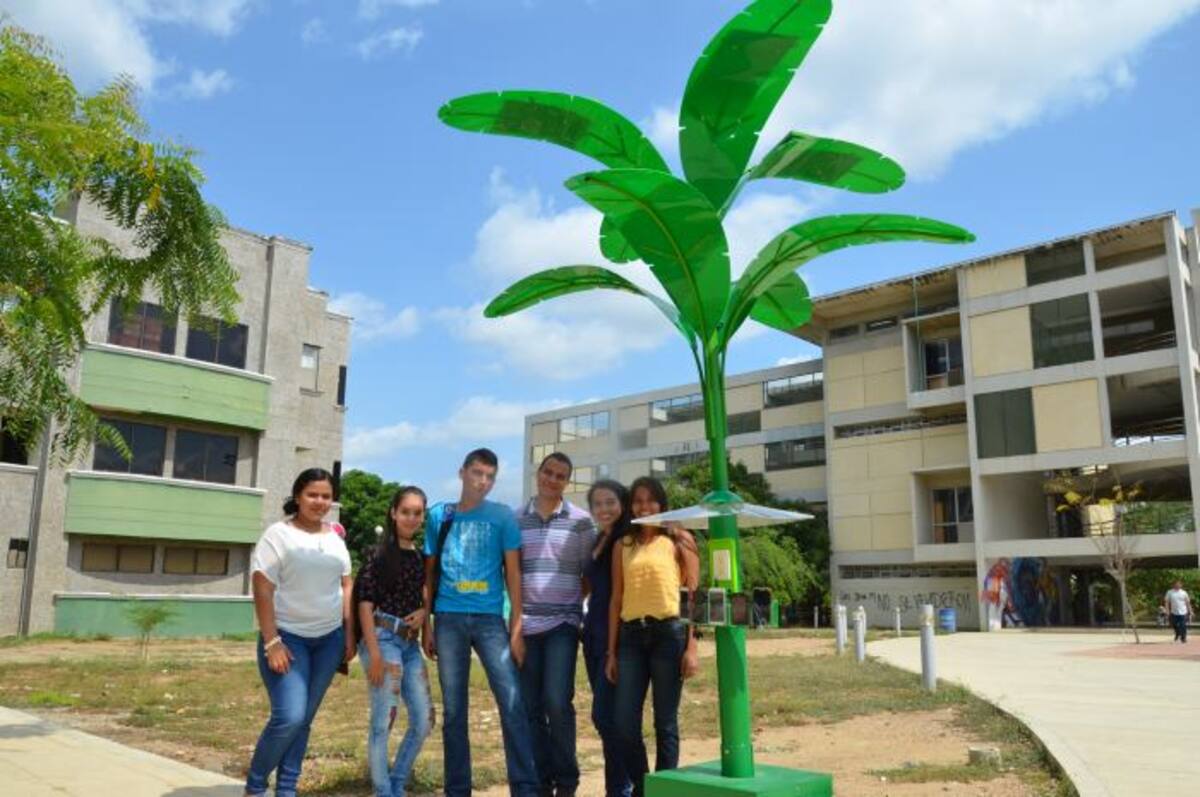 Este plátano solar podría ser incluido en la Ciudad Verde en la que pretende convertirse Montería. EL UNIVERSAL