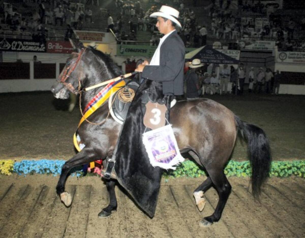 Gran Campeona Reservada Trocha Pura “Tesoro”, montador Leonardo Lara.