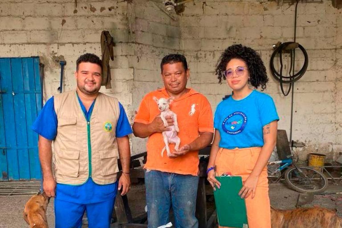Entregan alimentos para caninos y felinos a rescatistas de Cartagena